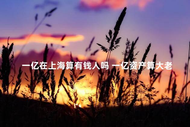 一亿在上海算有钱人吗 一亿资产算大老板吗